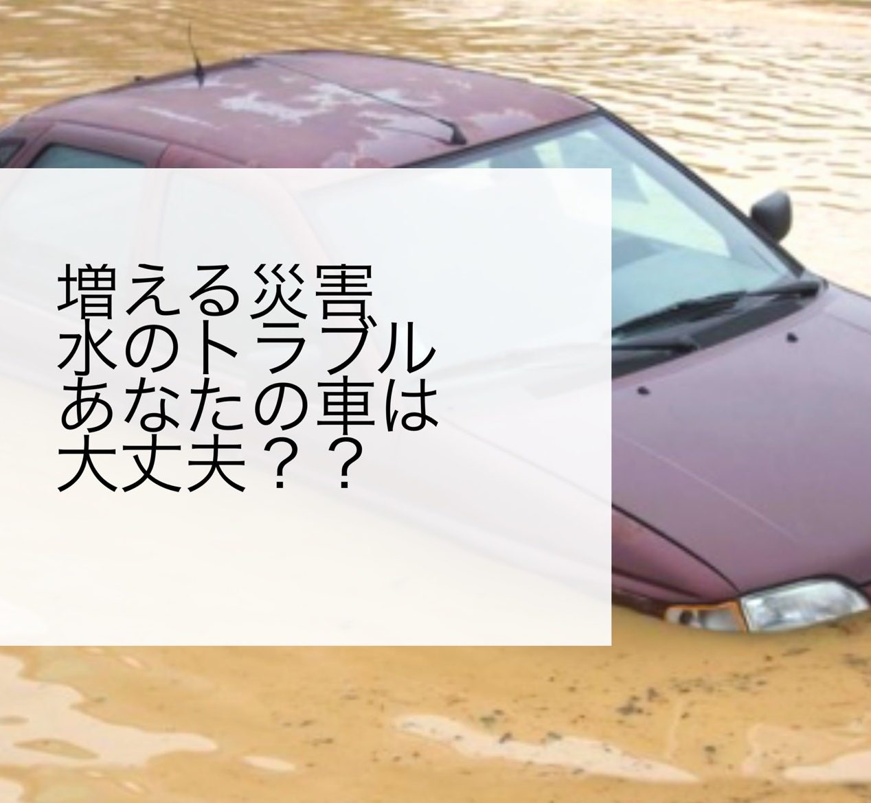 これから増える水のトラブル 車の水没にご注意を 建設保険 横浜 保険の総合代理店accel